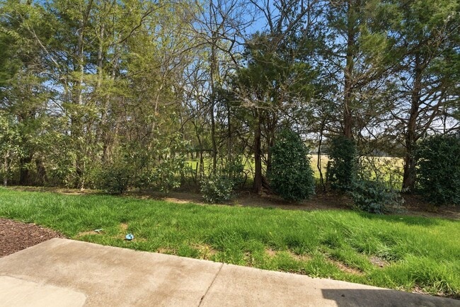 Building Photo - Murfreesboro Townhome