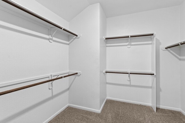 Building Photo - 2218 Levant Ln