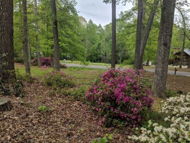 Building Photo - 144 Fern Forest Dr