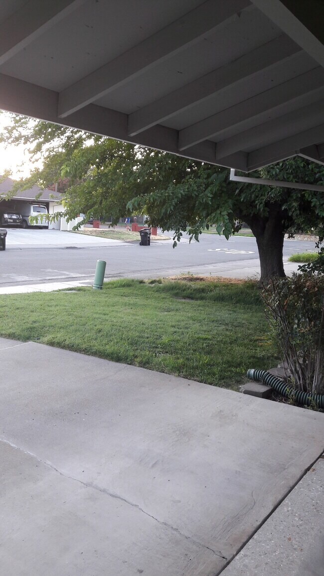 Building Photo - 3030 Olive Glen Ct