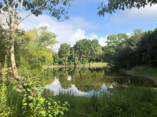 Building Photo - 12309 Calibri Ln