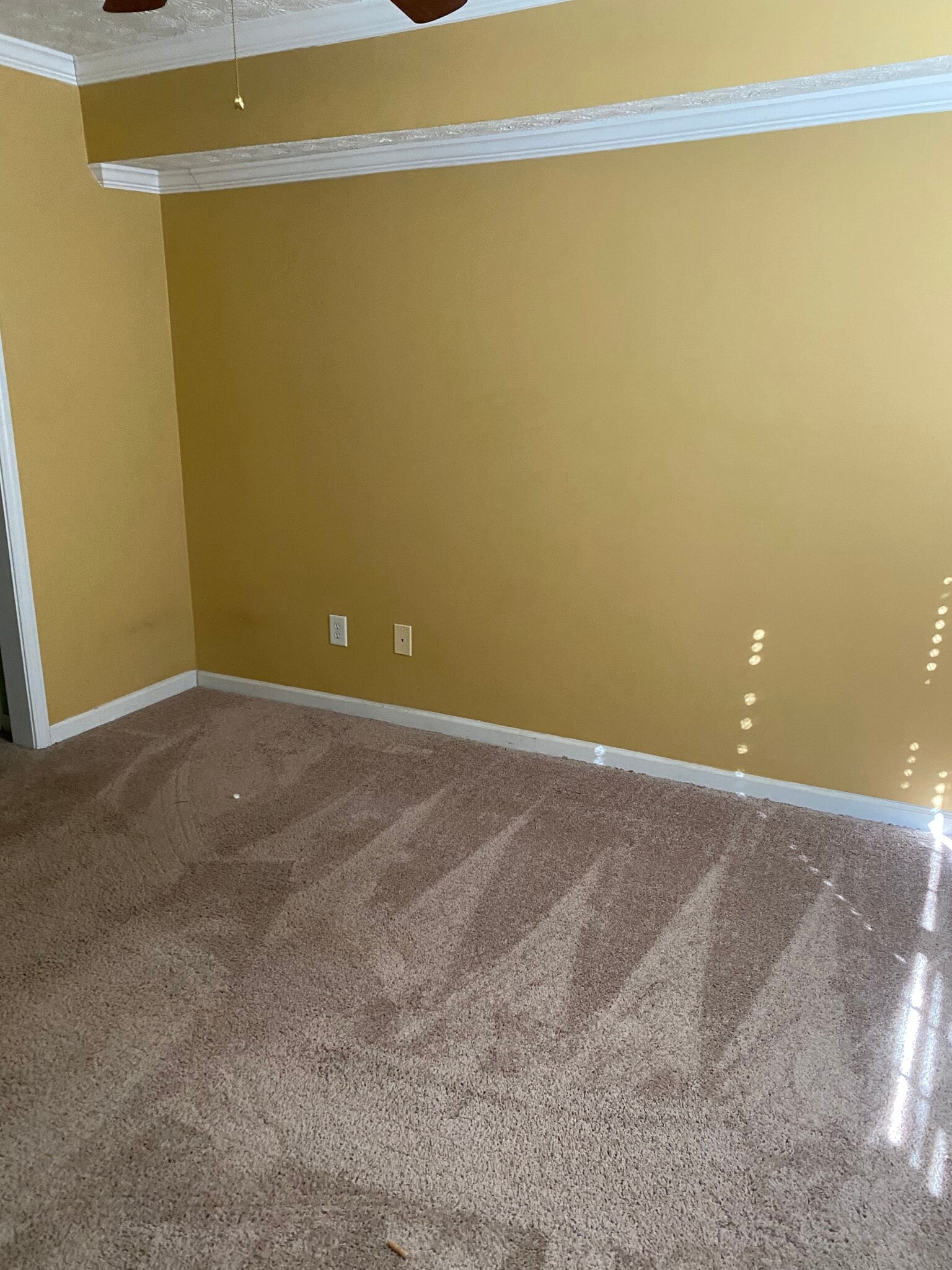 Building Photo - 6544 Wellington Chase Ct