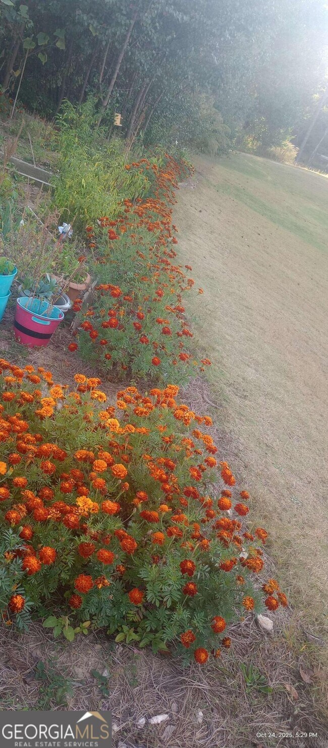 Building Photo - 3370 Westgate Park Dr