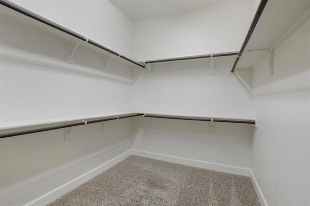 Building Photo - 3816 Plum Vista Pl