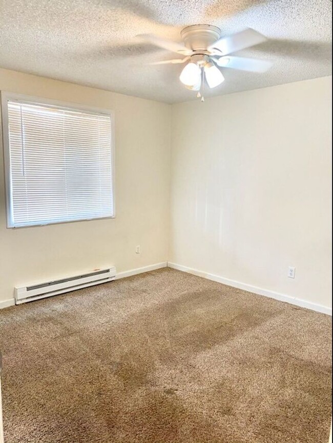 Building Photo - 2Bd 1Ba Pet Friendly