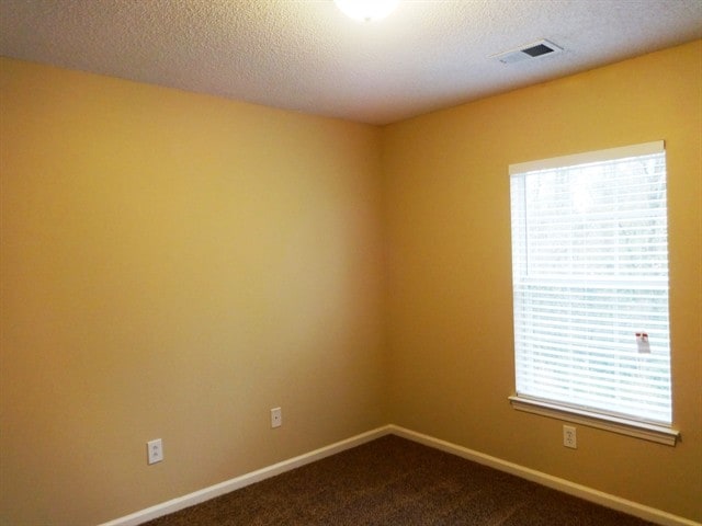 Building Photo - 3011 Mapleleaf Drive