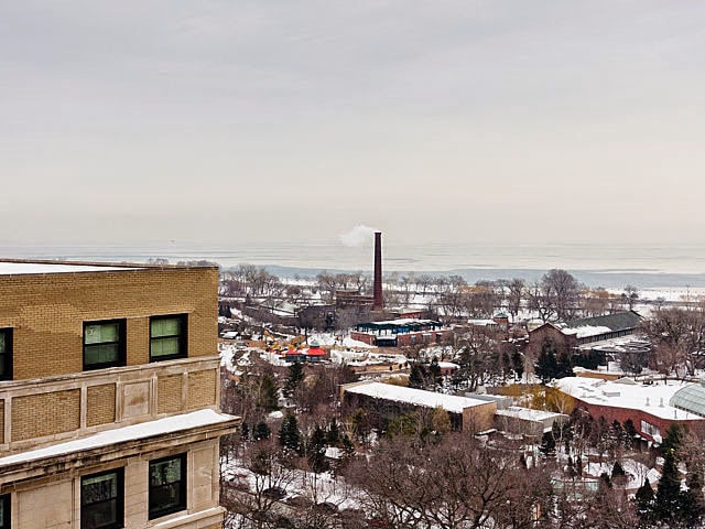 View of Lake Michigan from living room - 2052 N Lincoln Park W