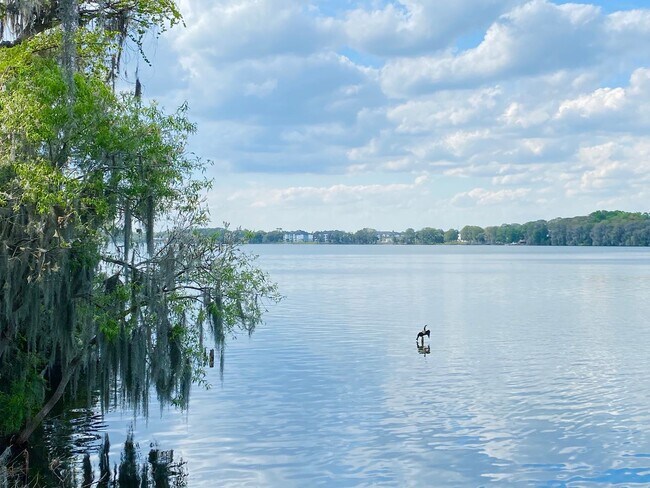 Building Photo - Awesome Home Ready for you in Winter Park