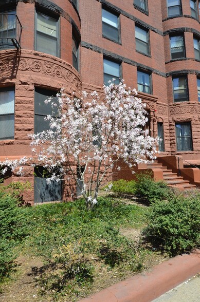 Building Photo - 407 Marlborough St