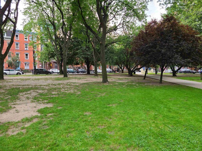 Building Photo - 285 8th St
