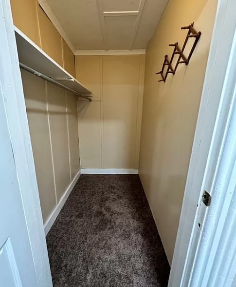 Building Photo - 313 William St