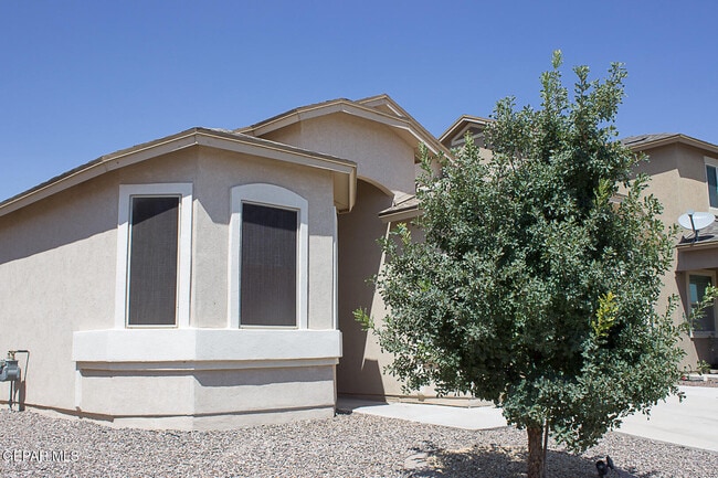 Building Photo - 3705 Loma Dante