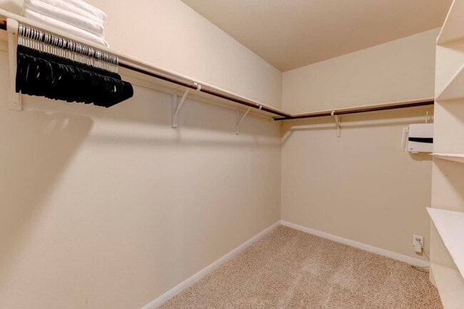 Building Photo - 12500 Ellen Ct