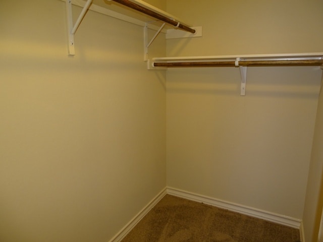 Building Photo - 6007 Karly Way