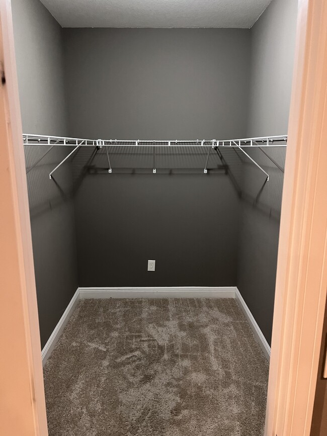 Building Photo - 8283 Calle Mio