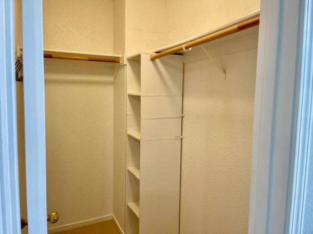 Building Photo - 211 Swan Ct