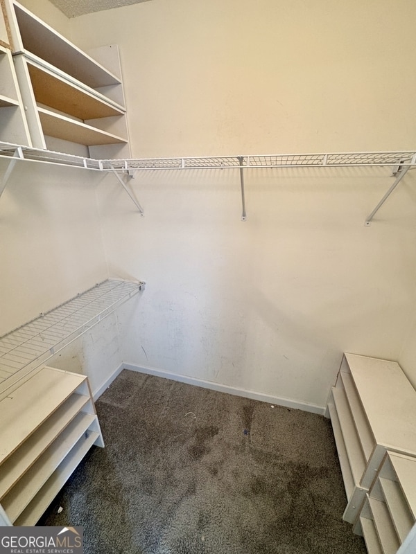Building Photo - 431 Whitewater Tr