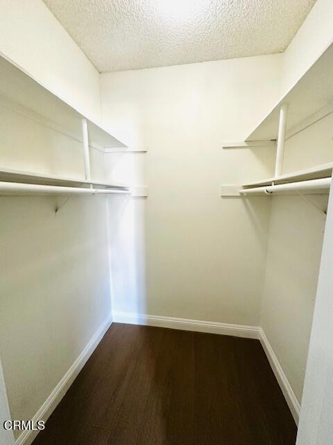 Building Photo - 350 Paseo De Playa