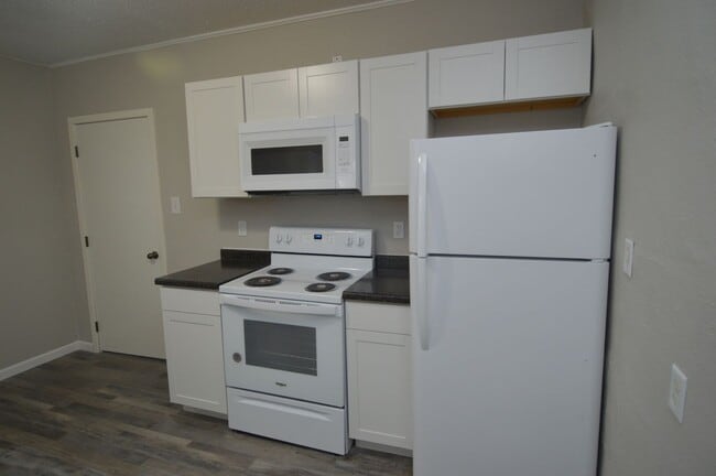 Building Photo - Fully remodeled 3 bedroom 2 bath near downtown and Greenway!