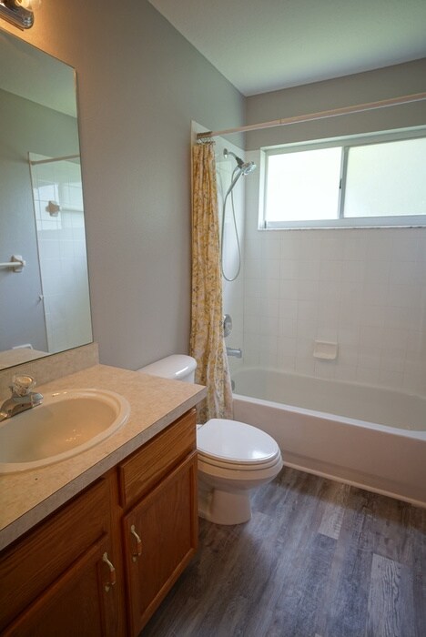 Building Photo - Beautiful home in The Enclave in Westchase