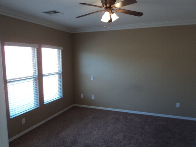 Building Photo - 1348 Beehive Ln