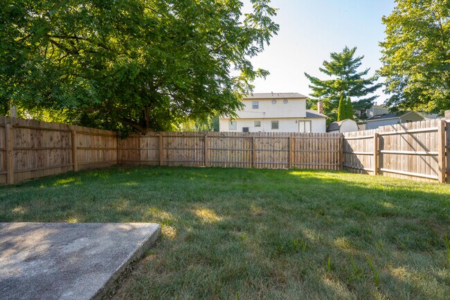 Fenced-in backyard - 67 Groton Dr