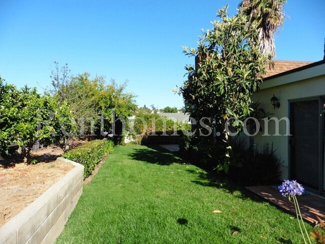Building Photo - 1588 Rambla Puesta