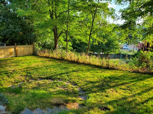 yard - 2306 Madrona Dr