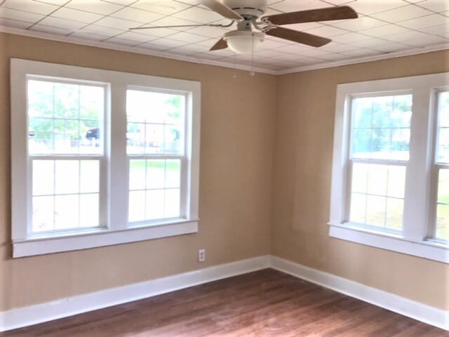 Building Photo - 107 Laircey St