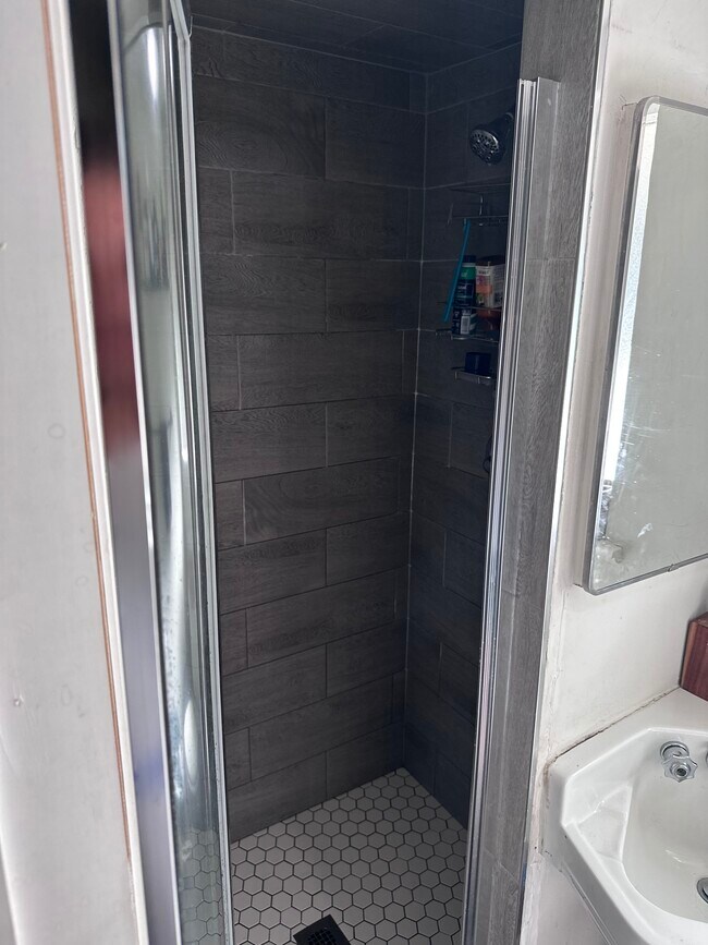 Updated shower - 321 Tahoe Ave