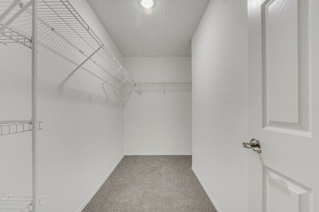 Building Photo - 529 Terranova Cir