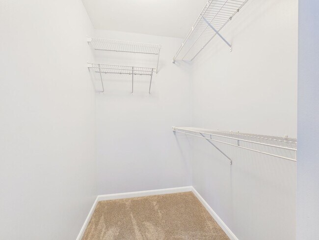 Building Photo - Gorgeous 3 Bedroom Single Family