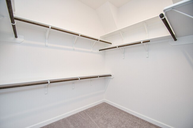 Building Photo - 19746 Shinnery Ridge Ct