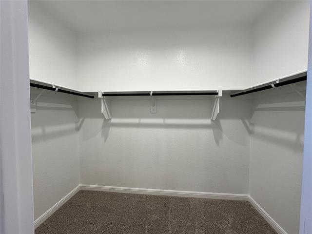 Building Photo - 413 Passenger Trl