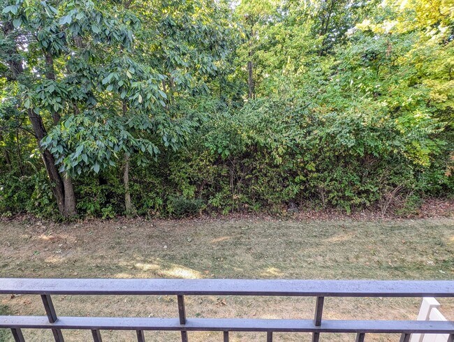 Building Photo - AVAILABLE NOW! Luxurious and Modern 3-4 Be...