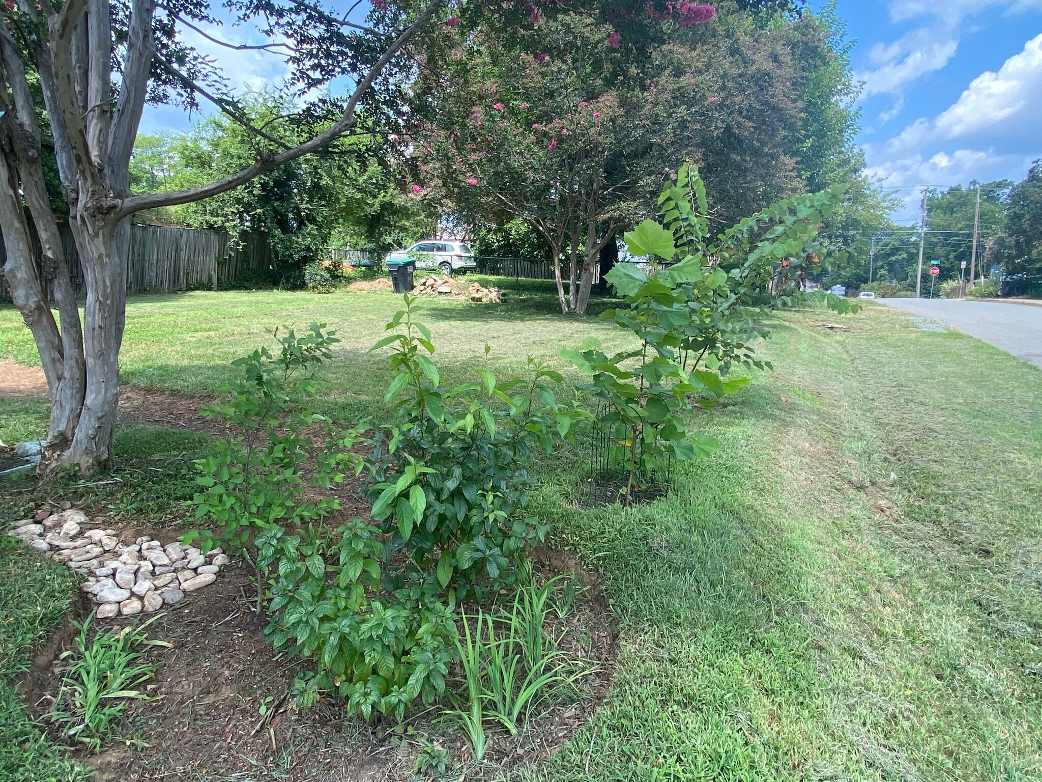 large back yard/lots of parking - 719 Altavista Ave