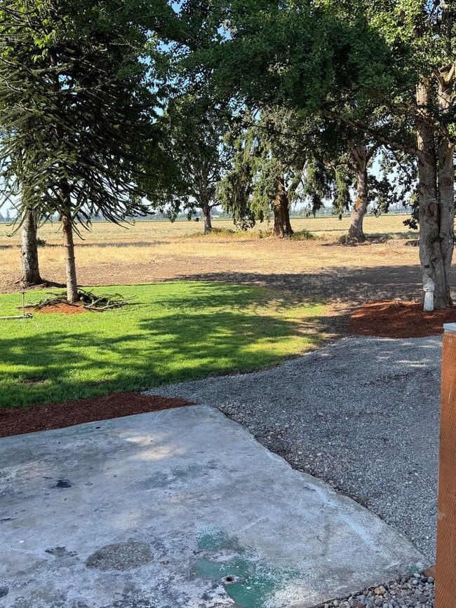 Building Photo - Rural site on 2 acres