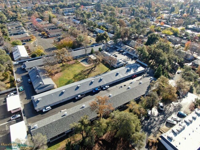 Building Photo - 3629 Bechelli Lane - 37