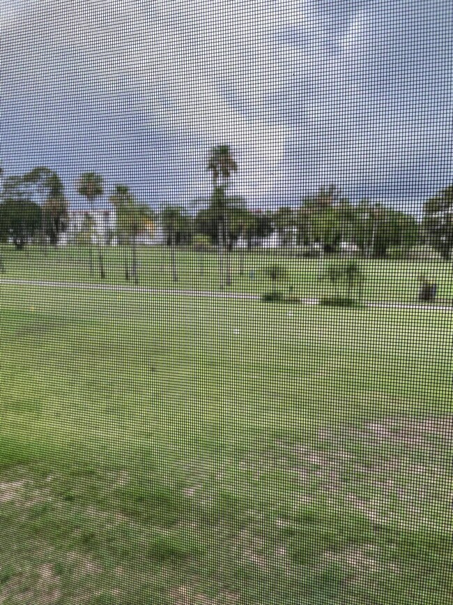 Building Photo - 3661 Via Poinciana