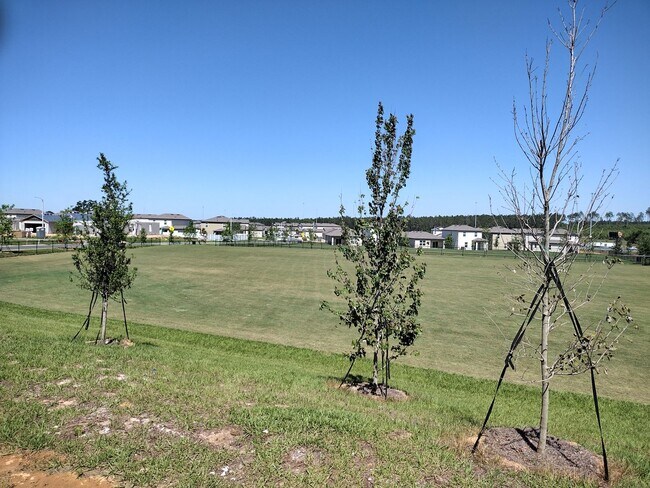 Building Photo - Beautiful 4 bedroom 2.5 Bathroom House For...