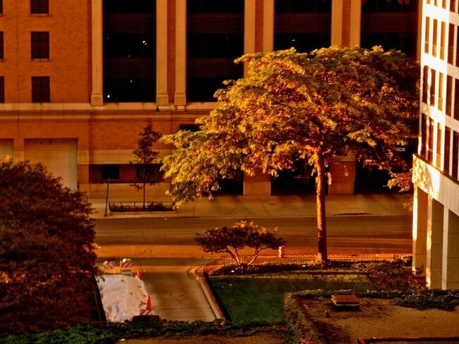 Building Photo - 900 N Lake Shore Dr