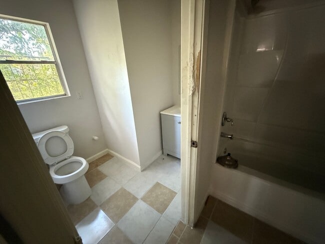 Building Photo - Palm Heights