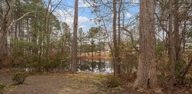 Building Photo - Charming 2-Story Home in Sought After Apex, NC