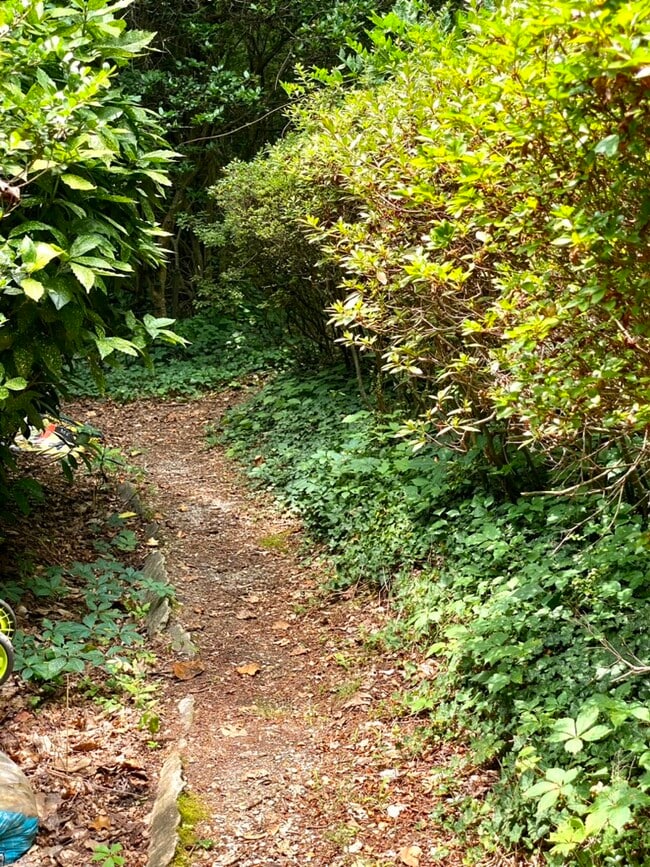 Building Photo - 95 Lanier St