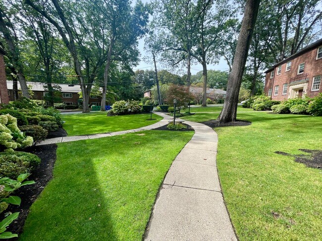 Building Photo - Luxury 2Bed / 1Bath in Newton's Waban Neig...