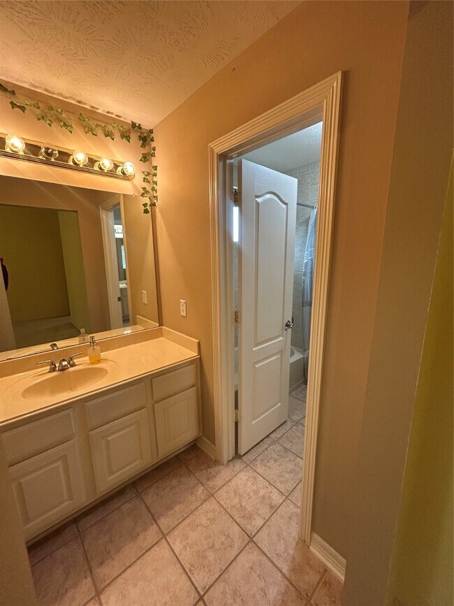 Building Photo - 12519 Aliso Bend Ln