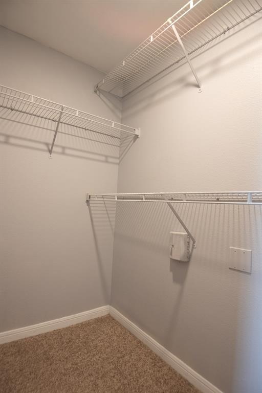 Building Photo - 2320 Gracy Farms Ln