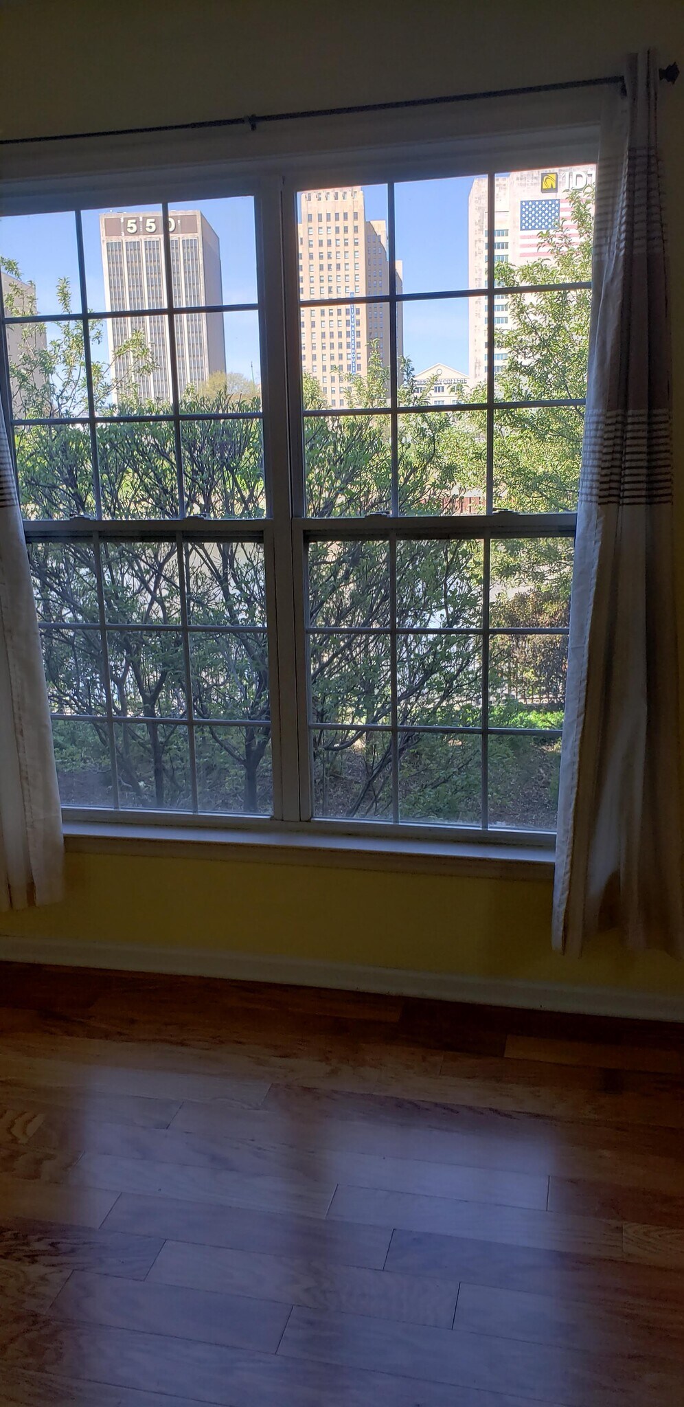 Study Room View - 201 Dey St