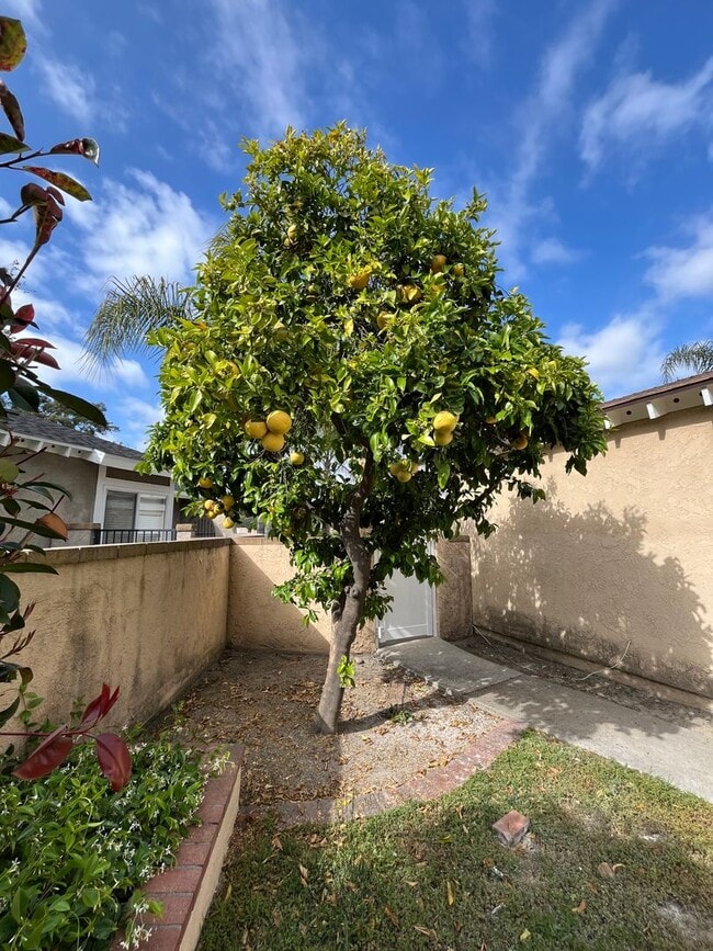 Building Photo - RECENTLY REFURBISHED  SINGLE STORY HOUSE W...