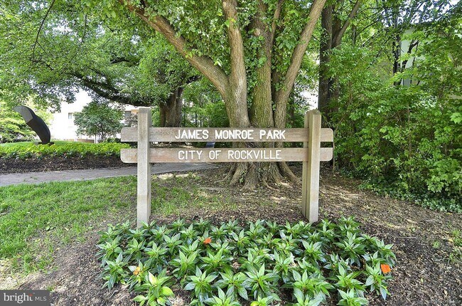 Building Photo - 4 Monroe St